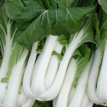 Pak Choi Chinese Cabbage Seeds