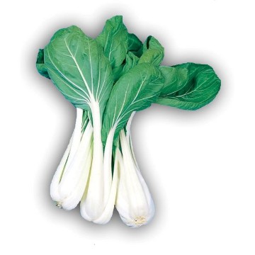 Taisai Chinese Cabbage Seeds