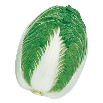 Blues Chinese Cabbage Seeds
