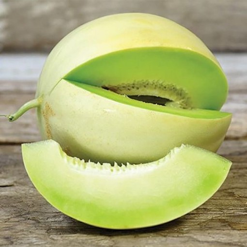Honey Dew Green Melons CA4-20