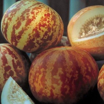 Tigger Melon Seeds