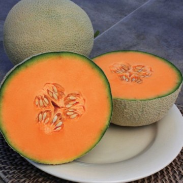 Charlynne Melon Seeds
