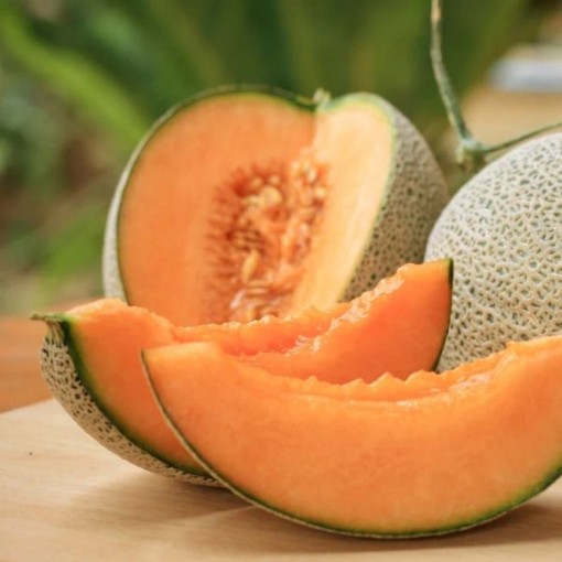 Top Mark Melons CA34-20