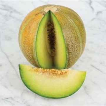 Ogen Israel Melon Seeds