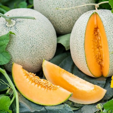 Delicious 51 Melon Seeds
