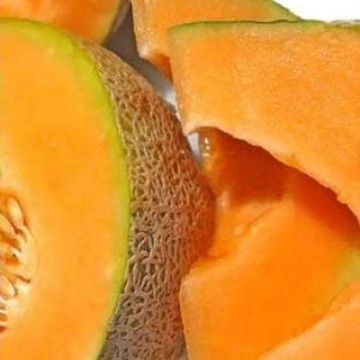 Mainstream Melon Seeds