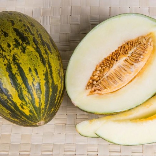 Piel de Sapo Melons CA57-20