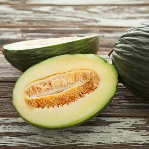 Early Valencia Melons CA59-20