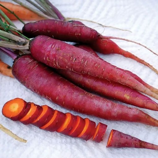 Purple Dragon Carrots CT5-250