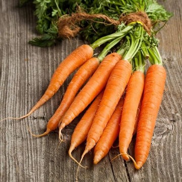 Carrots from Japan, Carrots Originating from Japan | Reimer Seeds