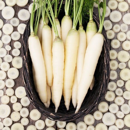White Satin Carrots CT35-250