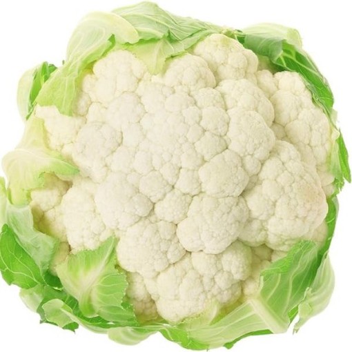 Igloo Cauliflower CF7-100