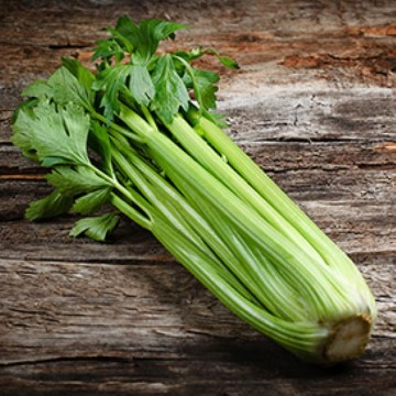 Golden Self Blanching Celery Seeds