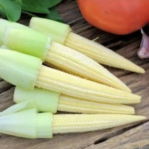 Baby Corn CN8-50