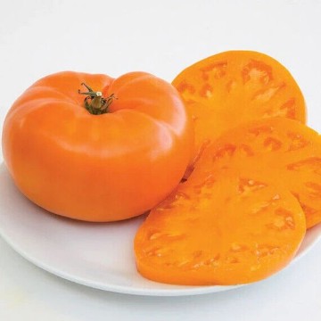 Amana Orange Tomato Seeds