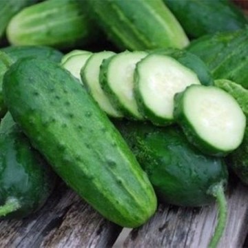 Boston Pickling Improved Cucumber Seeds