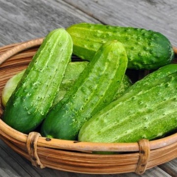 Chicago Pickling Cucumber Seeds