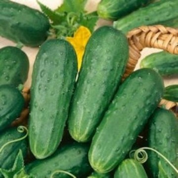 Homemade Pickles Cucumber Seeds