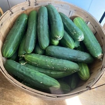 Marketmore 86 Cucumber Seeds