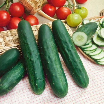 Long Green Improved Cucumber Seeds