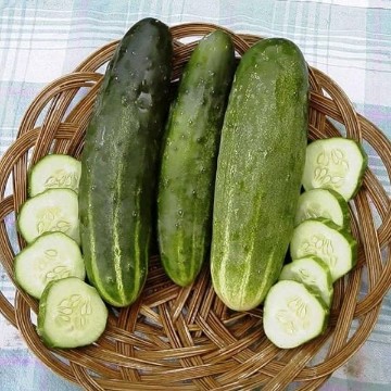 Ashley Cucumber Seeds