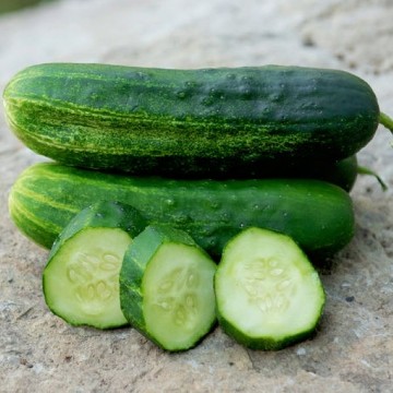 Wautoma Cucumber Seeds