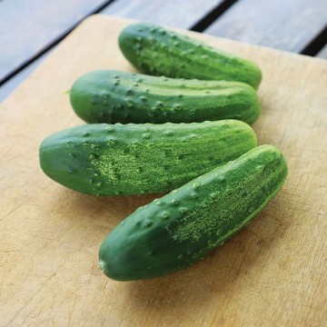 Regal Cucumber Seeds