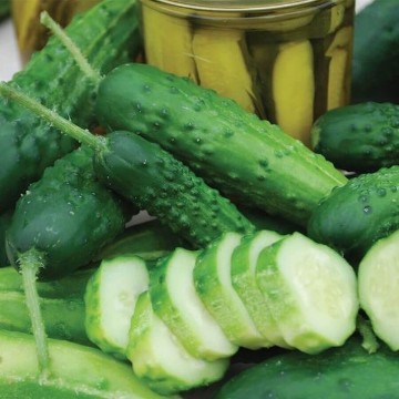 Early Fortune Cucumber Seeds