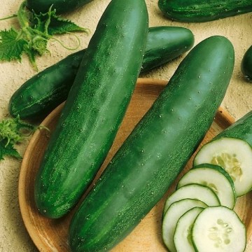 Hartley Cucumber Seeds