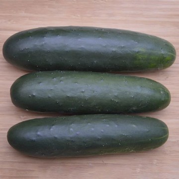 Brickyard Cucumber Seeds