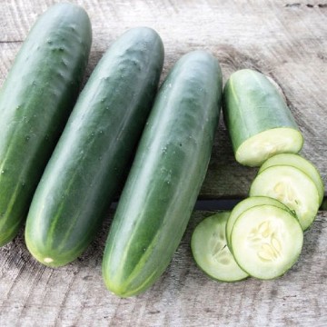 Goliath Cucumber Seeds