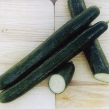 Pepinex Cucumber Seeds