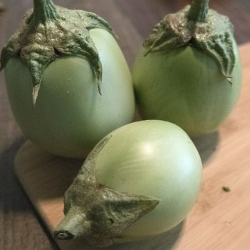 Apple Green Eggplant Seeds