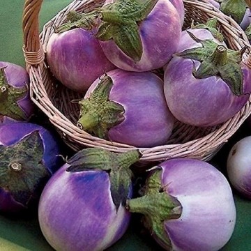 Round Mauve Eggplant Seeds