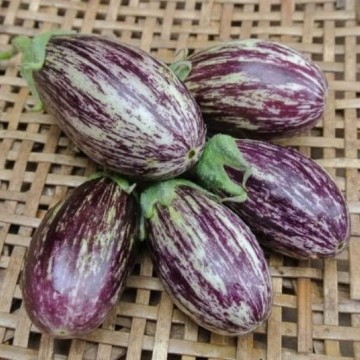 Udumalapet Eggplant Seeds