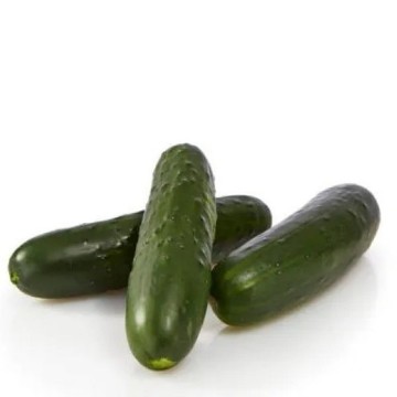 Bristol Cucumber Seeds