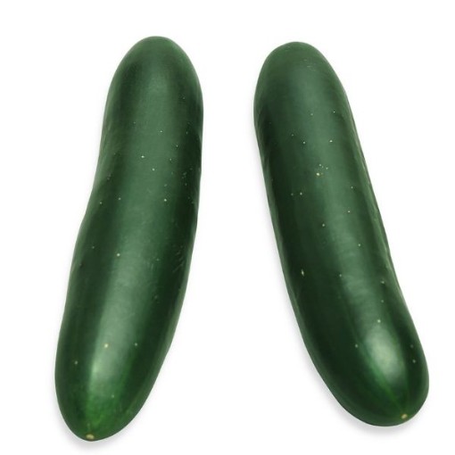 Superior Cucumbers CU51-20
