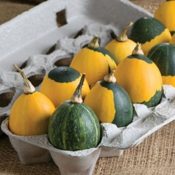 Goblin Eggs Gourds