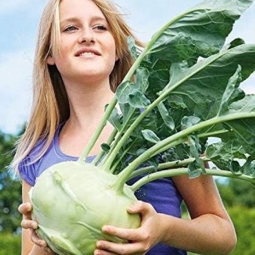 Giant Vegetables, Giant Vegetable Seeds | Reimer Seeds