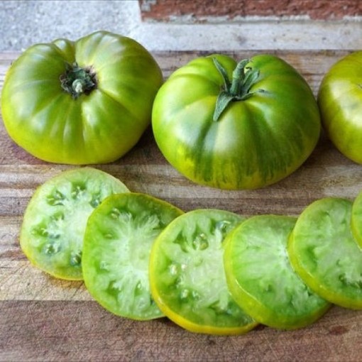 Tasty Evergreen Tomato TM44-20