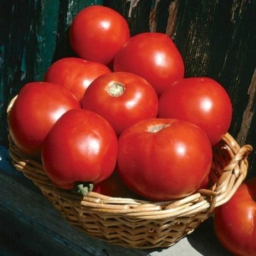 Basket Vee Tomato Seeds