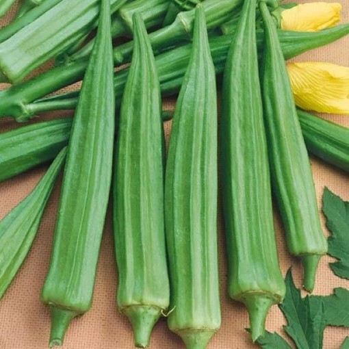Emerald Green Velvet Okra OK-5-50