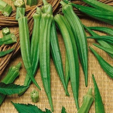 Perkins Mammoth Long Okra Seeds