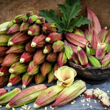 Alabama Red Okra Seeds
