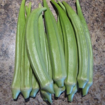 Fife Creek Cowhorn Okra Seeds