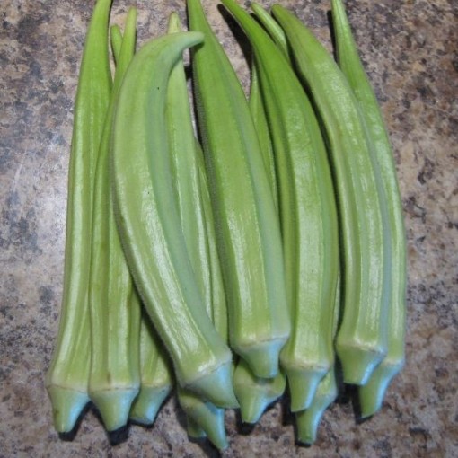 Fife Creek Cowhorn Okra OK31-50