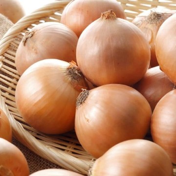 Walla Walla Onion Seeds