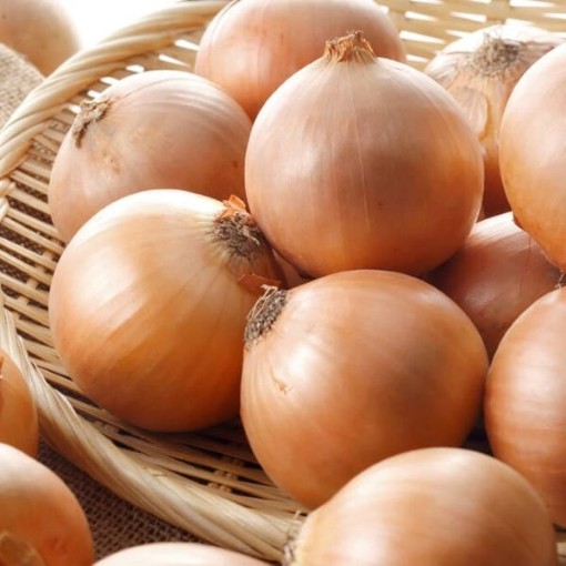 Walla Walla Onions ON16-250