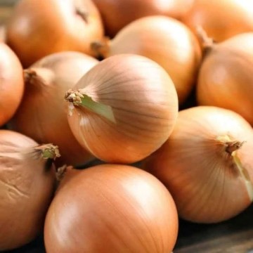 Yellow Sweet Spanish Onion Seeds