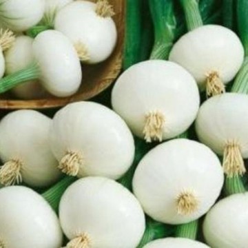 Crystal White Wax Onion Seeds